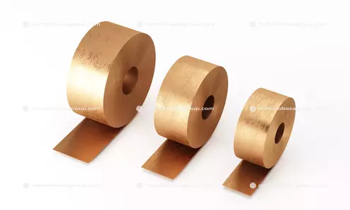 Бронзовая лента - Фото 2